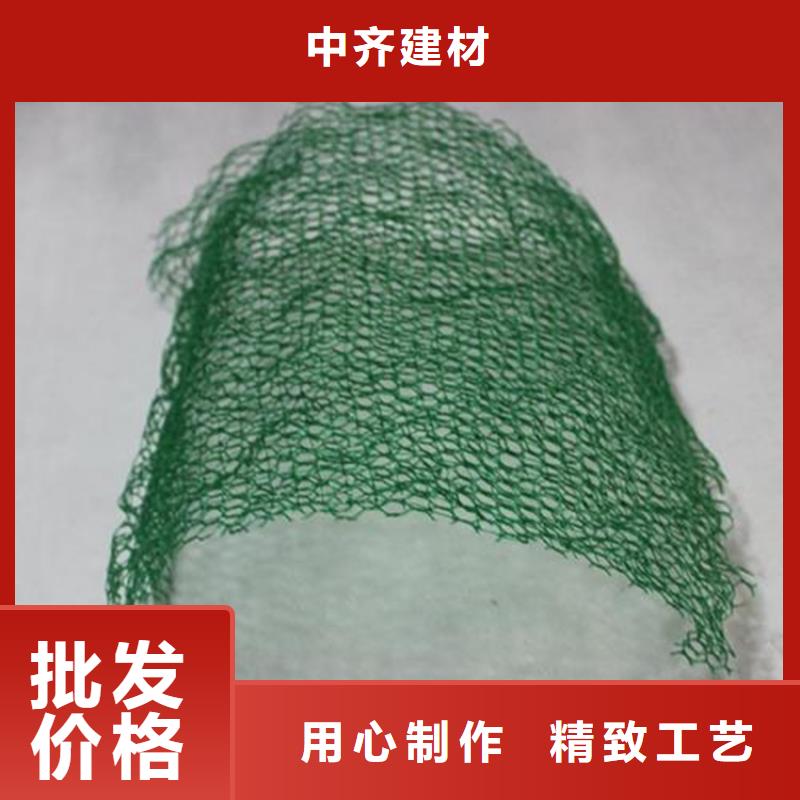 三维植草护坡网垫-EM4三维植被网代理批发/哪里有卖的