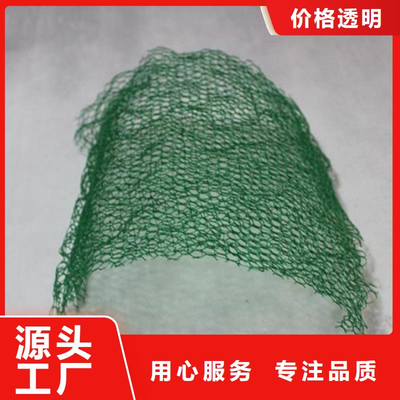 三维护坡植草网垫结构