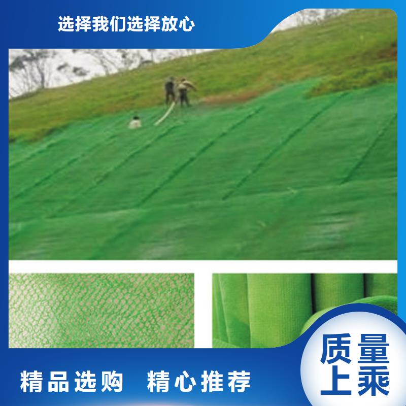 三维植草护坡网垫-EM4三维植被网代理批发/哪里有卖的