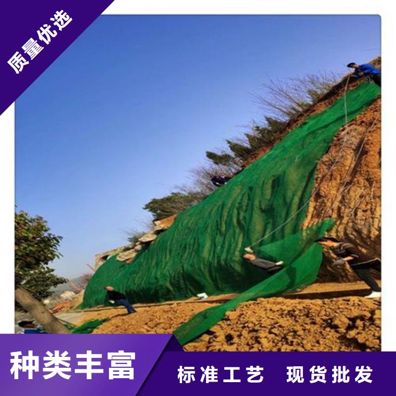 三维护坡植草网垫结构