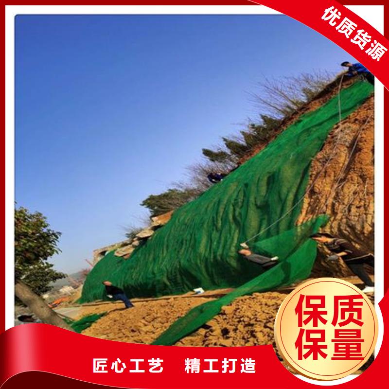 三维植草护坡网垫-EM4三维植被网代理批发/哪里有卖的