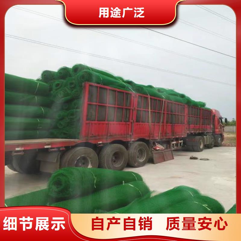 三维护坡植草网垫结构