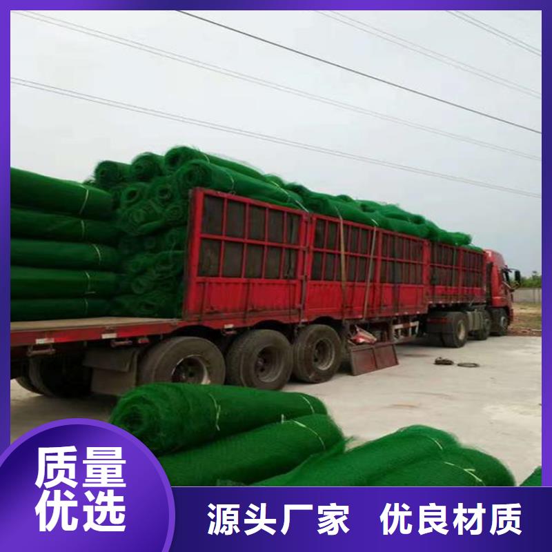 三维植草护坡网垫-EM4三维植被网代理批发/哪里有卖的