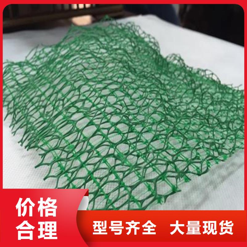 三维植草护坡网垫-EM4三维植被网代理批发/哪里有卖的