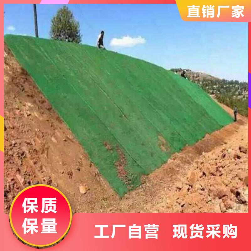 三维植草护坡网垫-EM4三维植被网代理批发/哪里有卖的