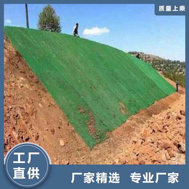 塑料盲沟视频-河南省开封市|通许|金明|新乡|漯河|鹤壁|周口塑料盲沟-中齐