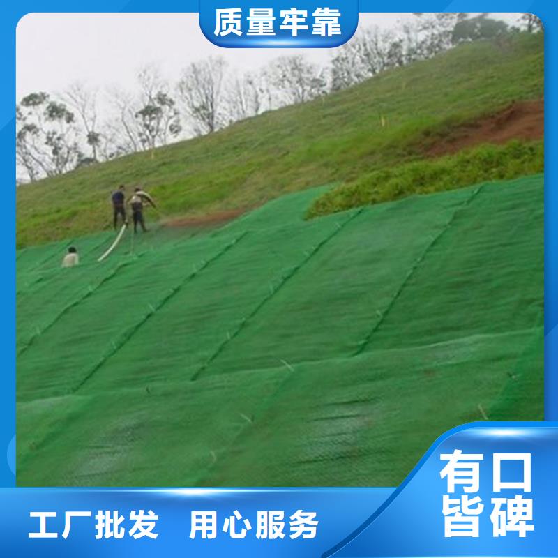 三维植草护坡网垫-EM4三维植被网代理批发/哪里有卖的