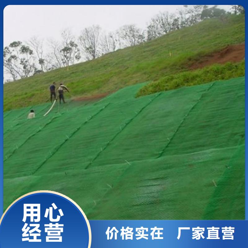 三维护坡植草网垫结构