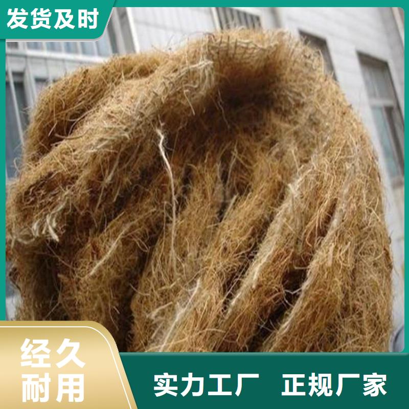 屯昌县植物纤维毯-护坡植被植草毯