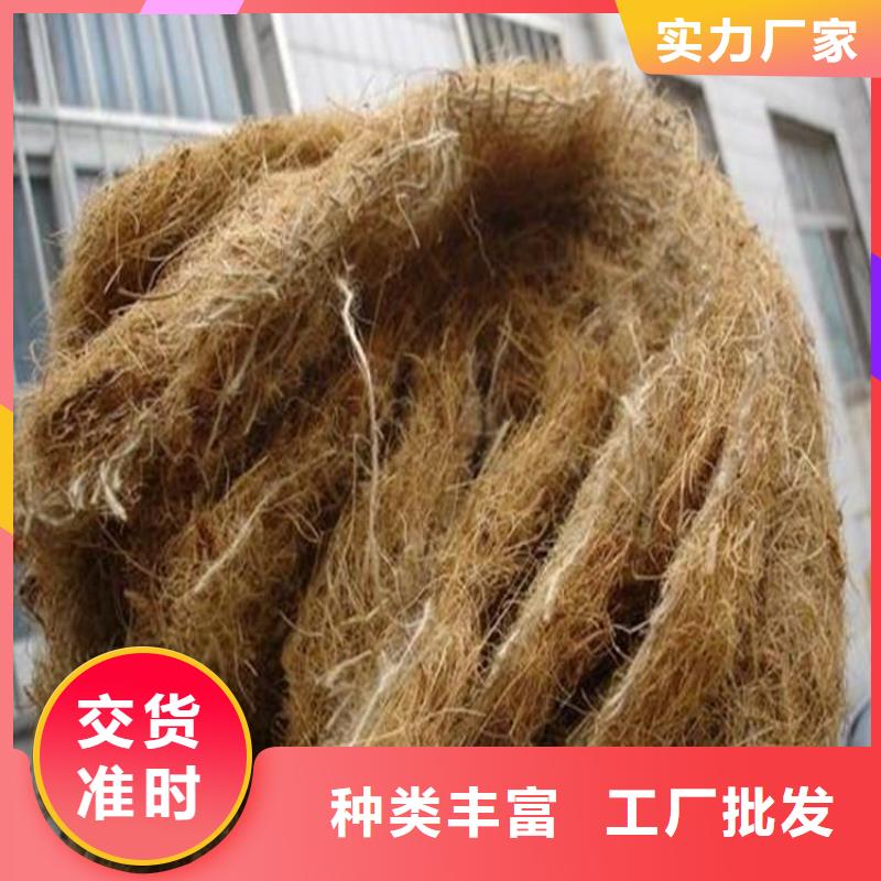 塑料盲沟-视频-塑料盲沟|大兴安岭市|呼玛|塔河|佳木斯|哈尔滨|黑河|牡丹江|大庆|鹤岗