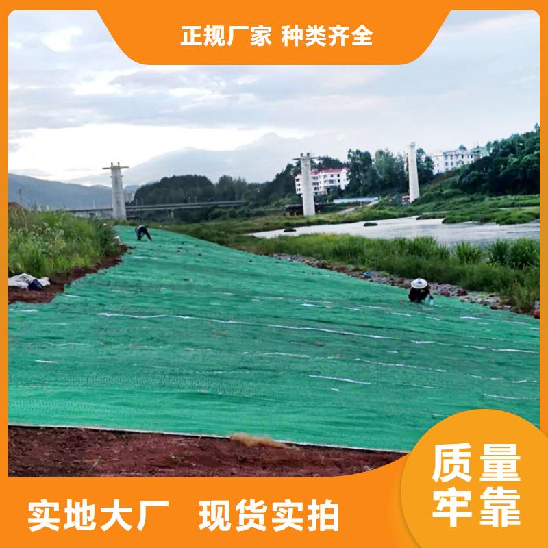 加筋抗冲生物毯-椰丝植生毯