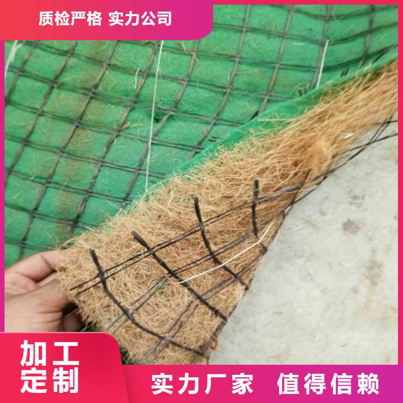 加筋抗冲生物毯-椰丝植生毯