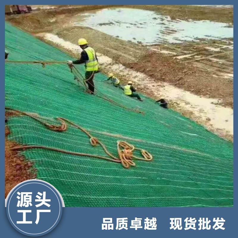 加筋抗冲生物毯-椰丝植生毯