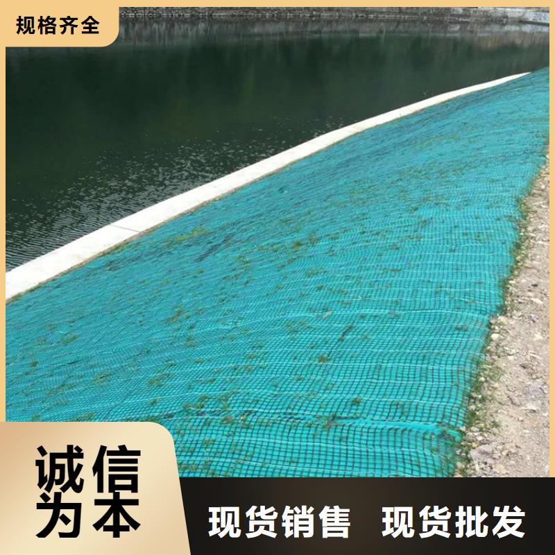 椰丝毯土工格栅认准大品牌厂家