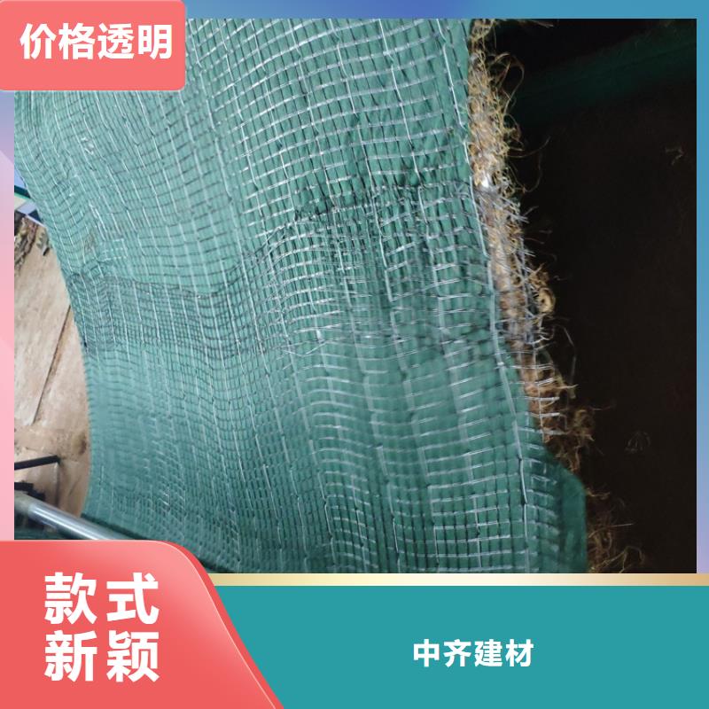 加筋抗冲生物毯-椰丝植生毯