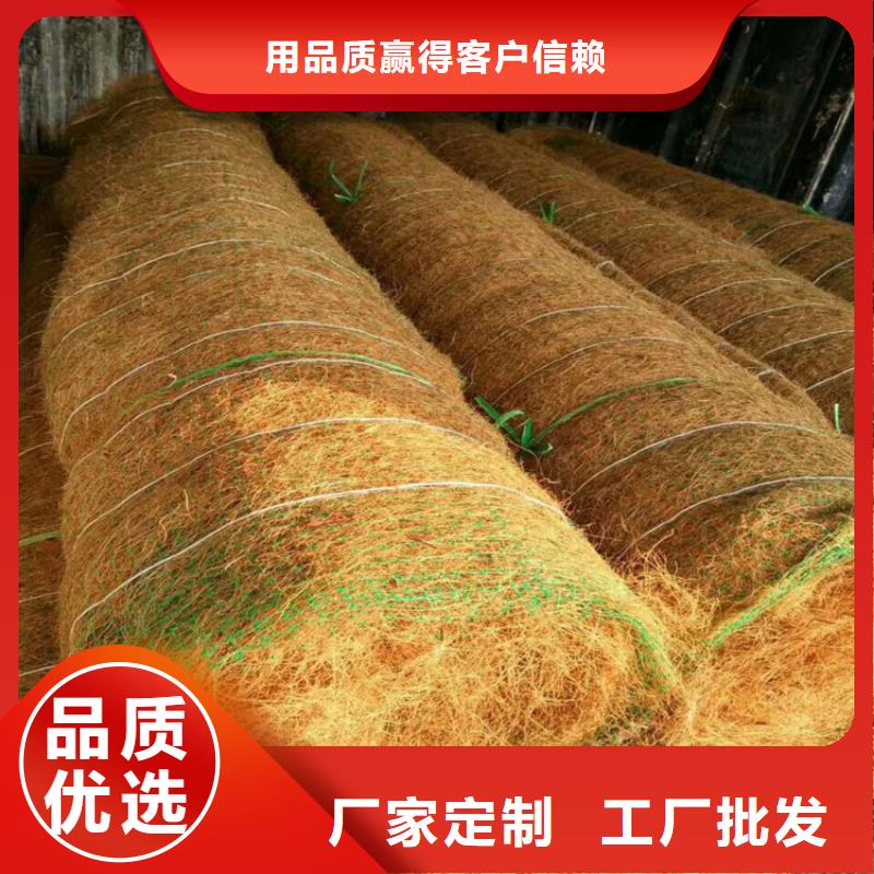 椰纤植生毯-护坡植被植草毯特点颜色