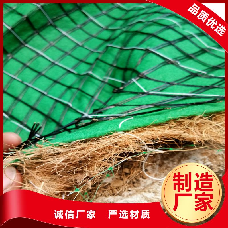 椰丝毯土工格栅认准大品牌厂家