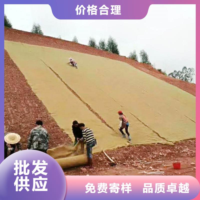 椰丝毯土工格栅认准大品牌厂家