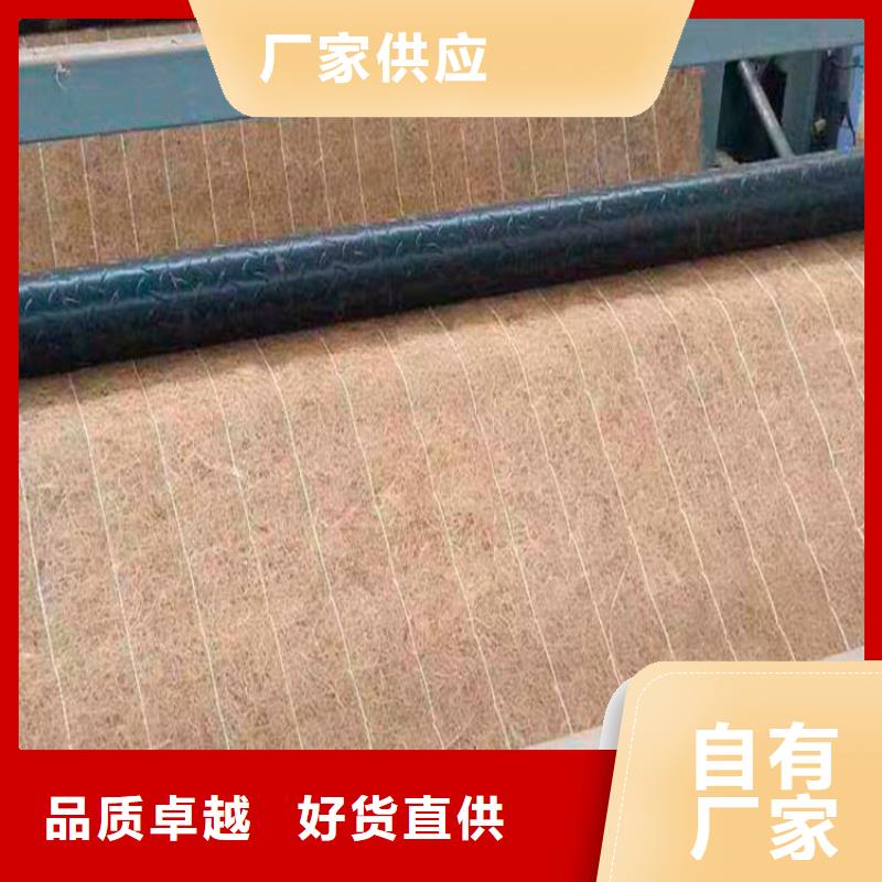 屯昌县植物纤维毯-护坡植被植草毯