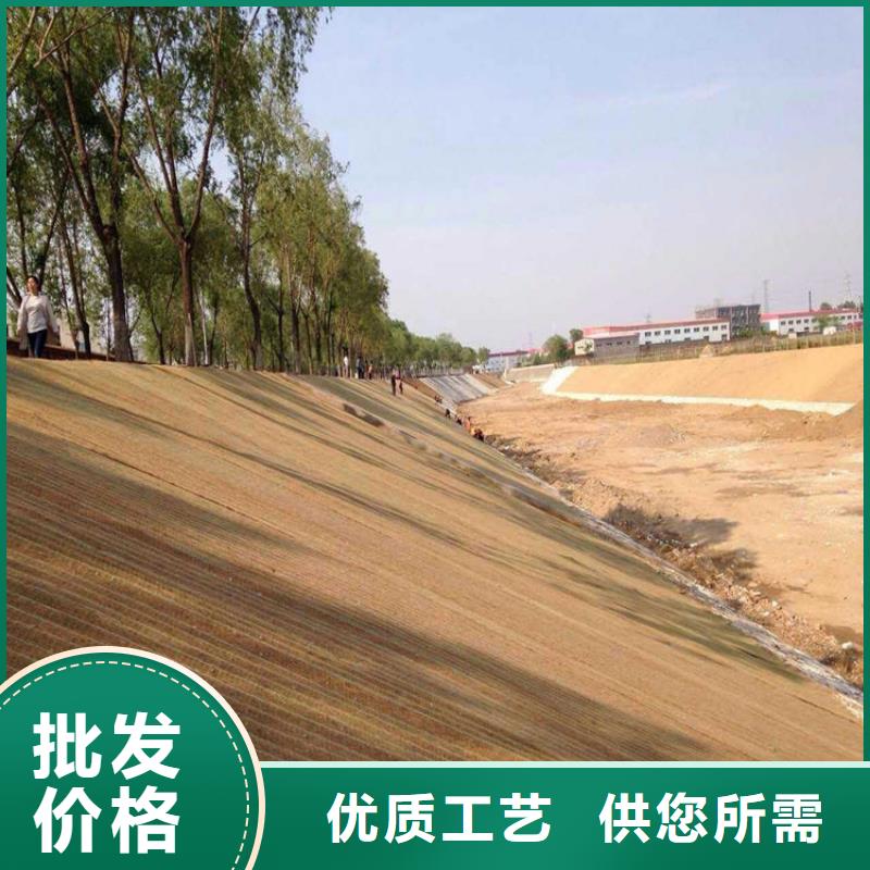 椰纤植生毯-护坡植被植草毯特点颜色