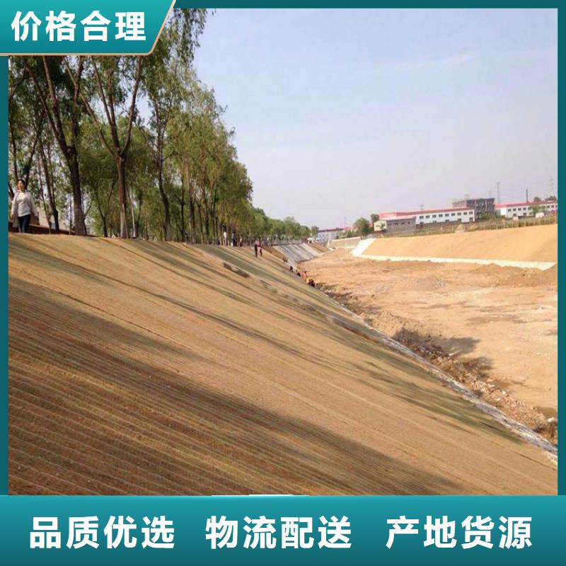 椰丝毯土工格栅认准大品牌厂家