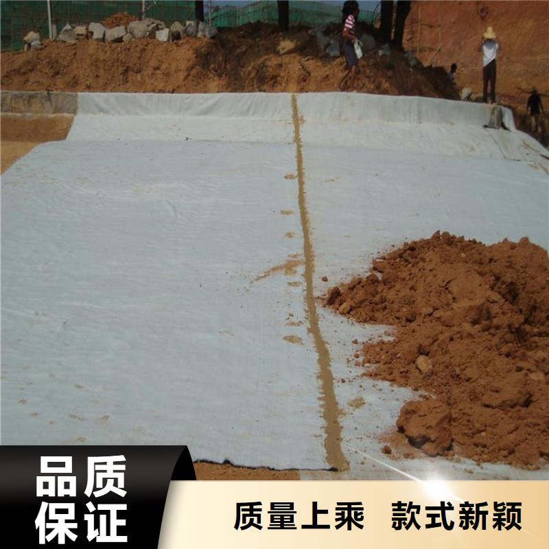 膨润土防水毯土工格栅供应商