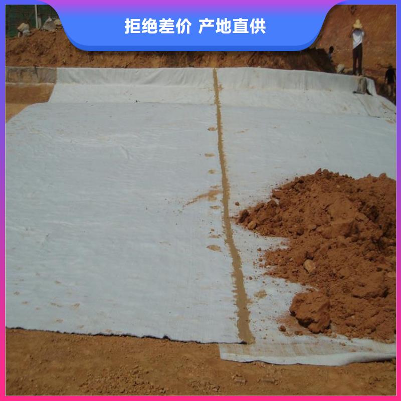 膨润土防水毯,通风降噪丝网现货批发