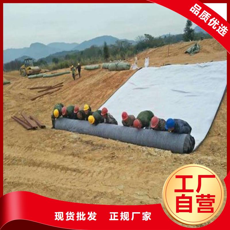 膨润土防水毯厂家案例
