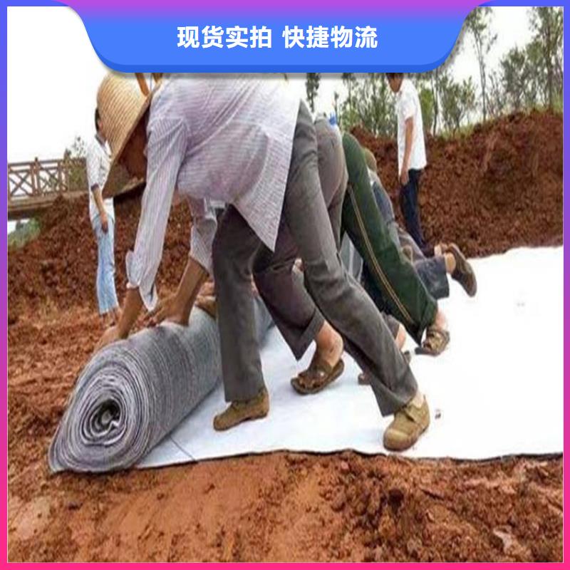 膨润土防水毯厂家案例