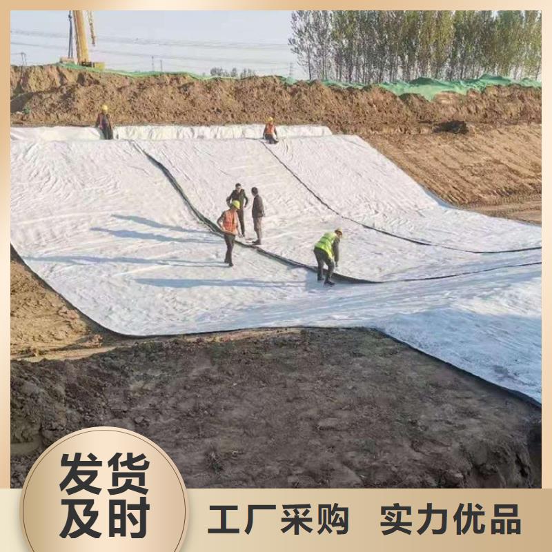 膨润土防水毯,【土工膜】出厂价