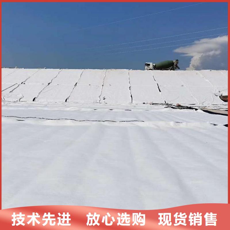 【膨润土防水毯】-植草格产品参数