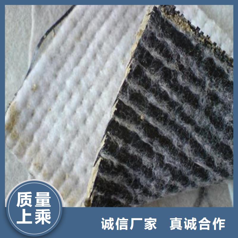 【膨润土防水毯】-植草格产品参数