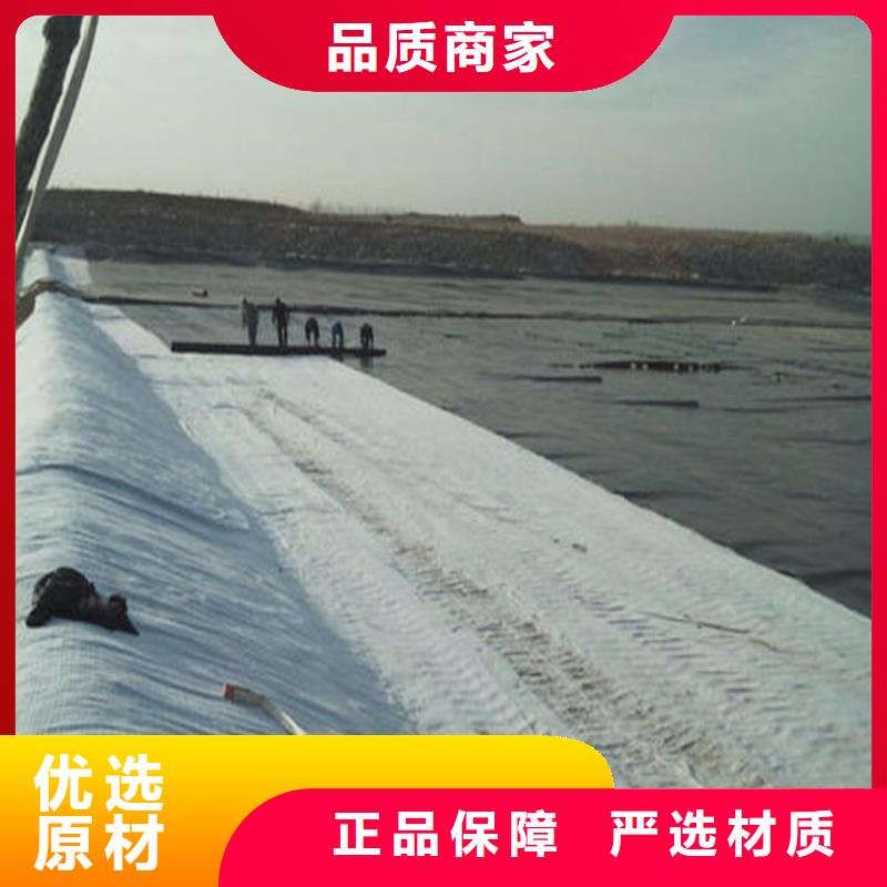 膨润土防水毯土工格栅供应商