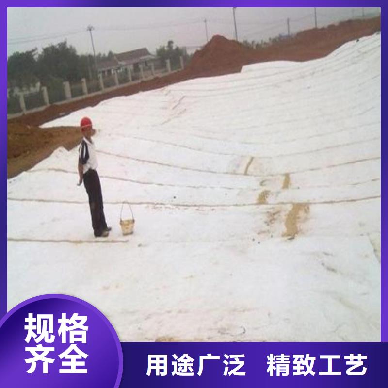 膨润土防水毯,通风降噪丝网现货批发