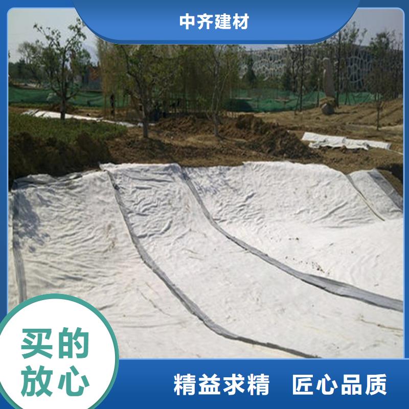 膨润土防水毯,通风降噪丝网现货批发