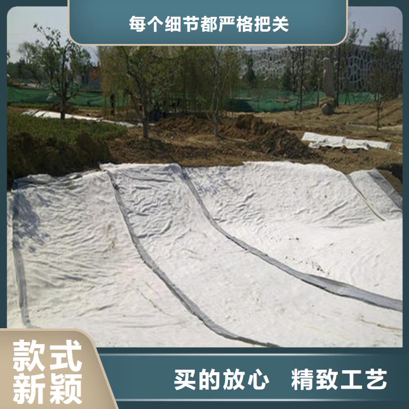 【膨润土防水毯防渗膜厂家直销直供】