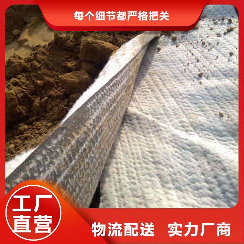 【膨润土防水毯】-植草格产品参数