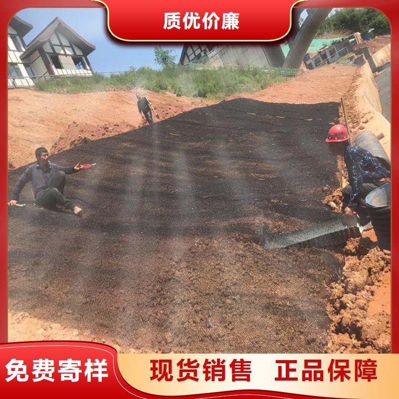 塑料盲沟-视频-塑料盲沟(中齐)覆盖地域吉林省通化市东昌|辉南|四平|辽源|延边|吉林|长春