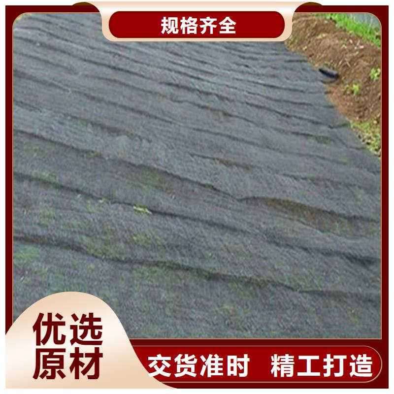 水土保护毯_塑料土工格栅专心专注专业