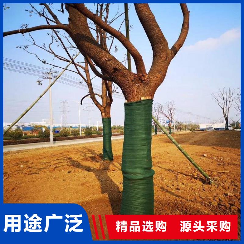 裹树布波纹管实力雄厚品质保障