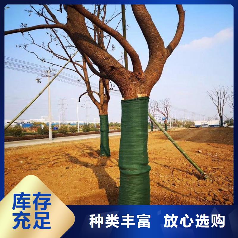 塑料盲沟视频-塑料盲沟-山东省济南市平阴|章丘|东营|青岛|滨州|莱芜(周边)制造商