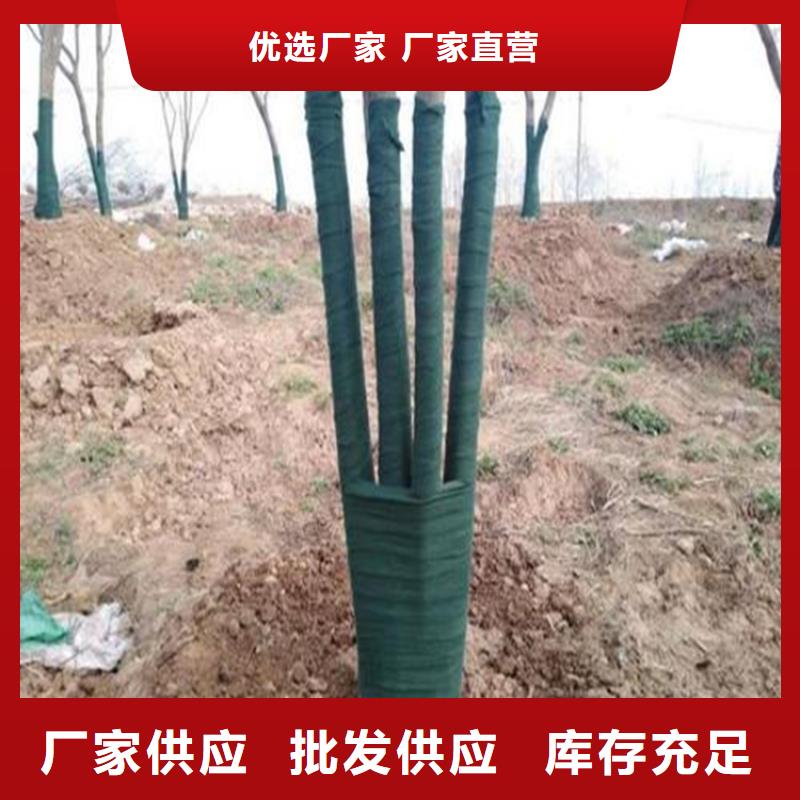 裹树布涤纶格栅产地源头好货