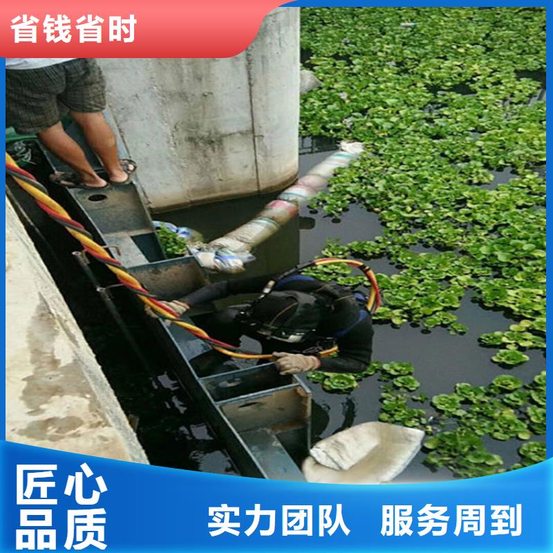水下-水下检查欢迎询价