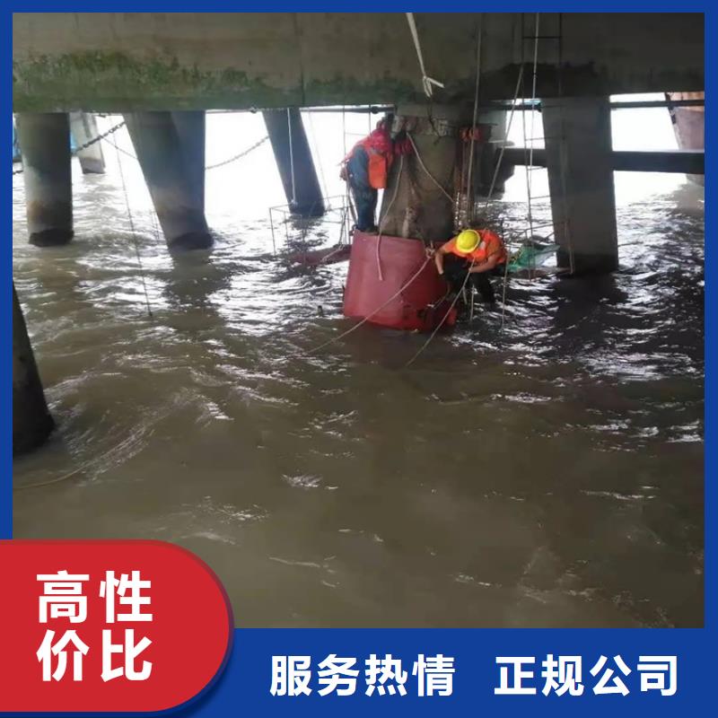 水下拍照摄像团队