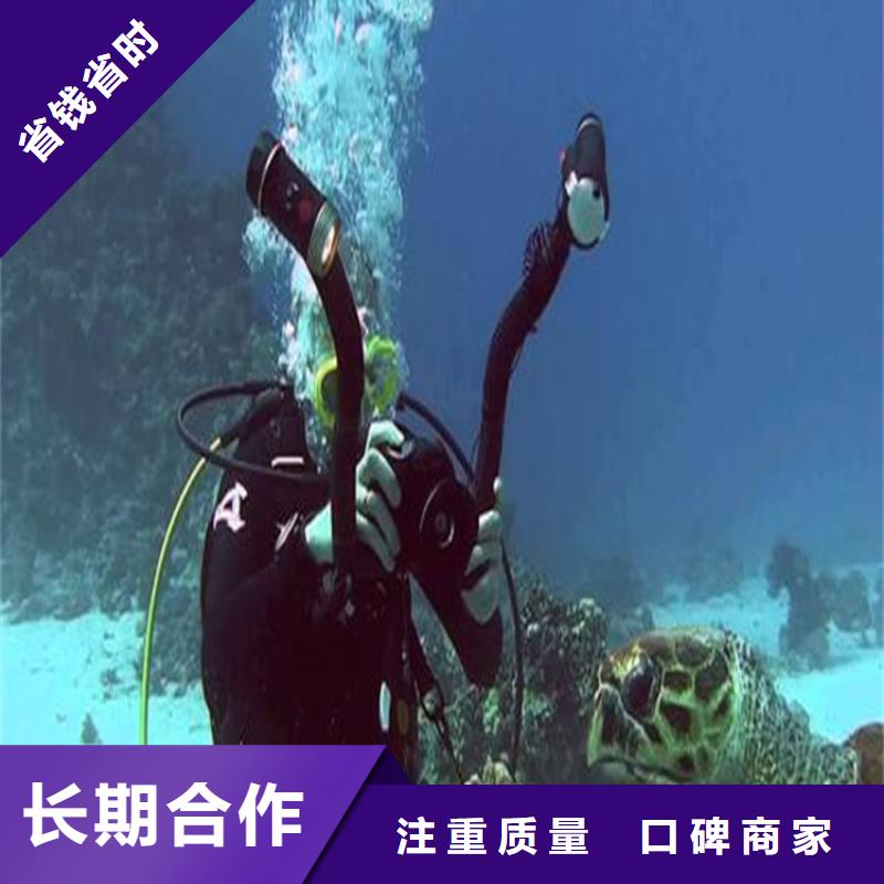 水下拍照摄像公司