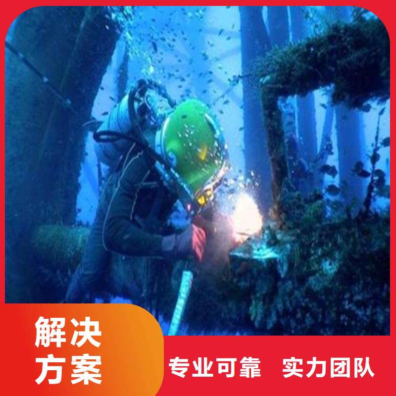 水下拍照摄像团队