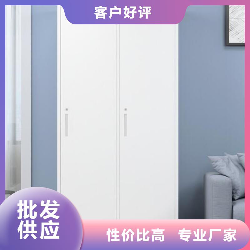 走廊储物柜钢制单面书架