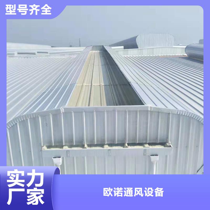 流线型通风气楼现货报价