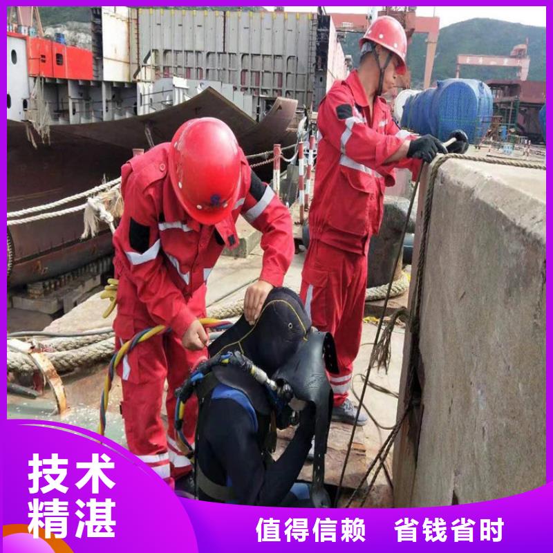 水下-水下照相遵守合同