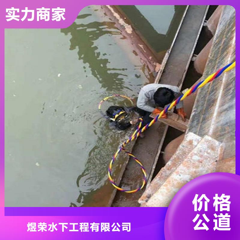 水下-水下照相遵守合同